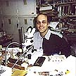 Louis N. Sorkin