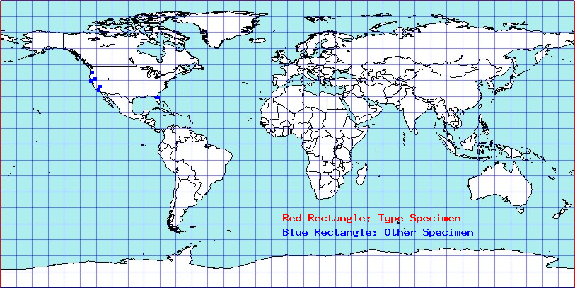 Chaitophorus longipes coordinates