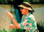 Paula Cushing