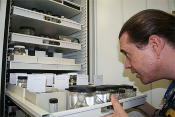Erich at the AMNH Collections