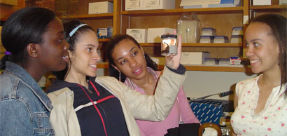 Students in the Molecular Systematics Laboratory
