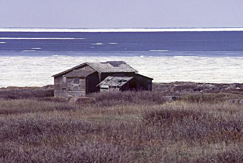 cabin on Hudson Bay near Churchill