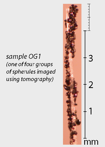 Sample OG1