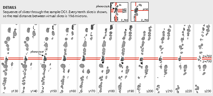 Results - Y sequence