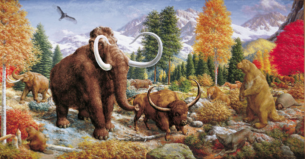 pliocene mammals