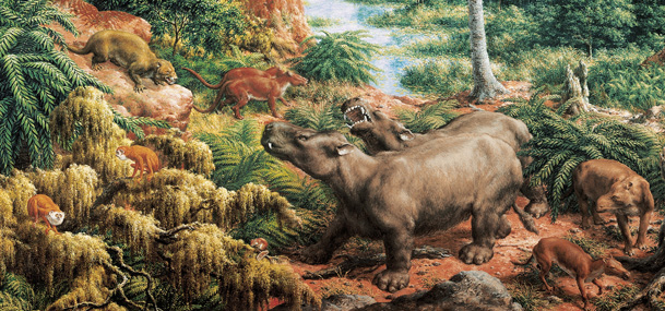 Eocene Epoch Animals