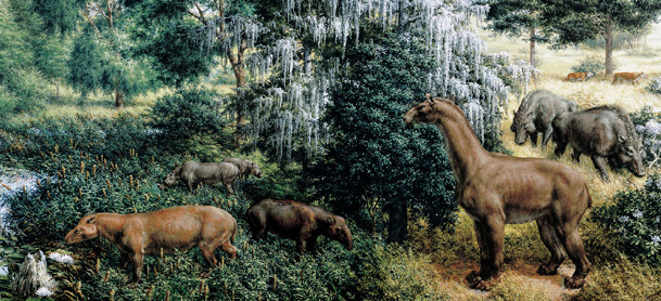 pliocene mammals