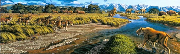 pleistocene time period