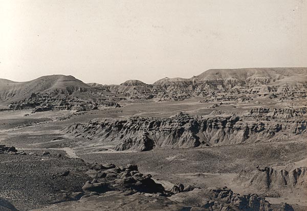 1903 Eocene of Wyoming