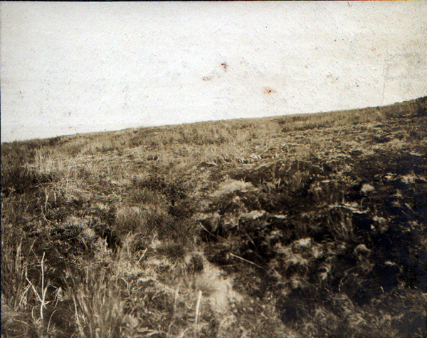 1907 Pleistocene of Alaska