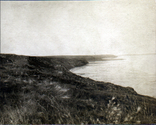 1907 Pleistocene of Alaska