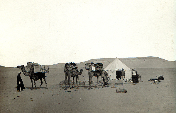 1907 Oligocene of Egypt