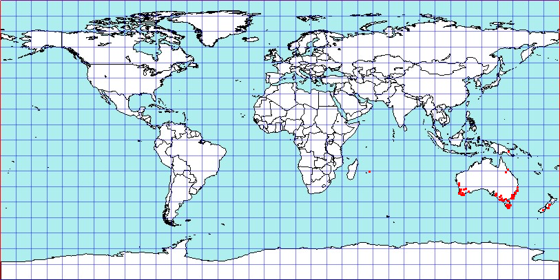 Ausejanus albisignatus coordinates