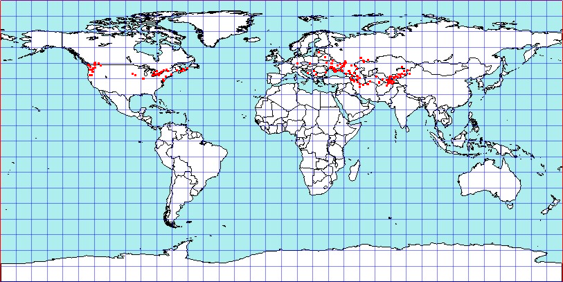 Campylomma verbasci coordinates