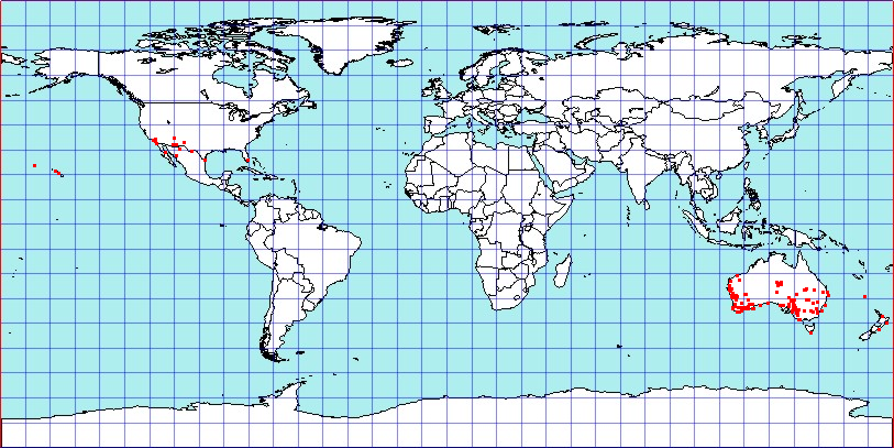 Coridromius chenopoderis coordinates