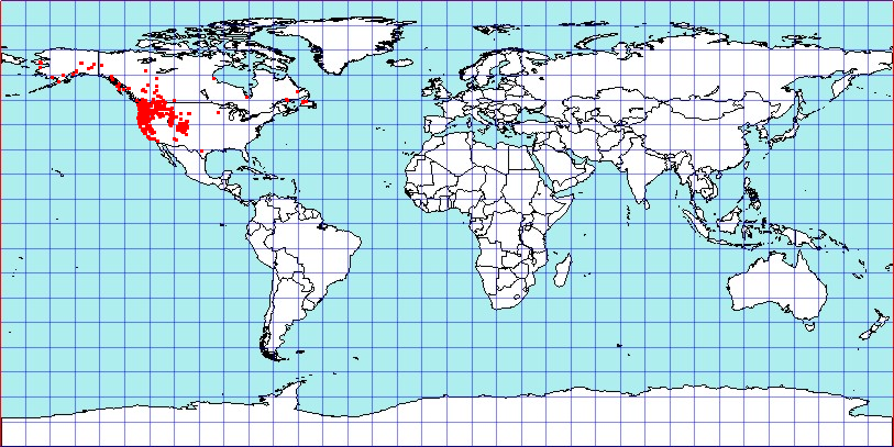 Lygus shulli coordinates