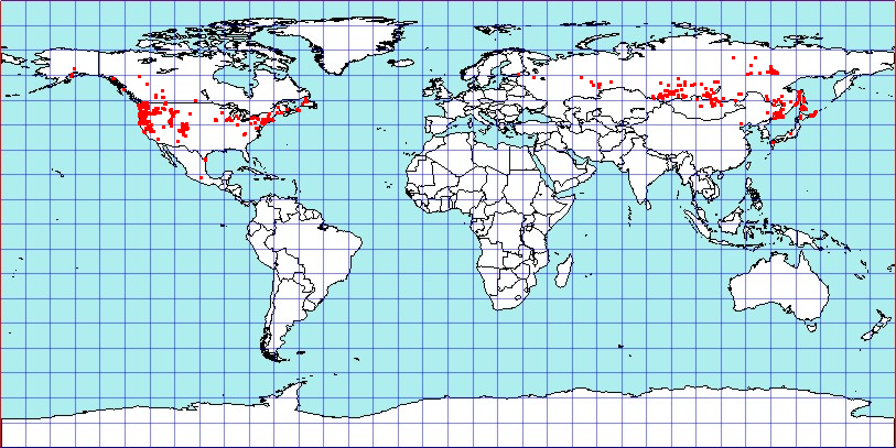 Orthops scutellatus coordinates