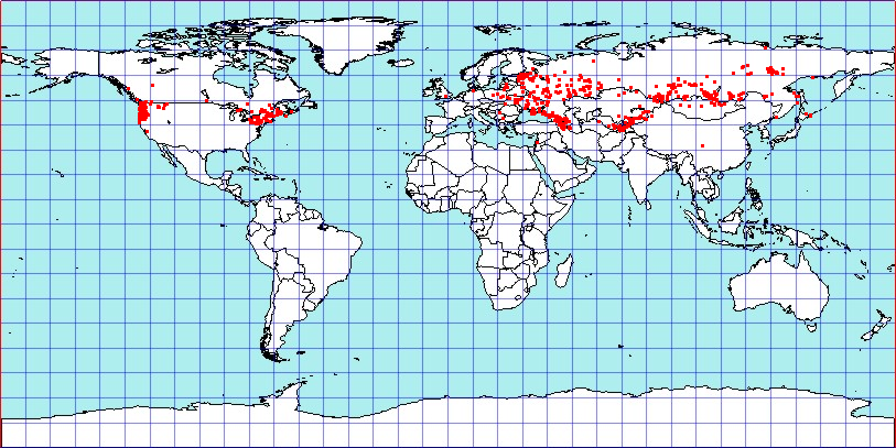 Plagiognathus chrysanthemi coordinates