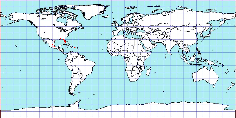 Polymerus testaceipes coordinates