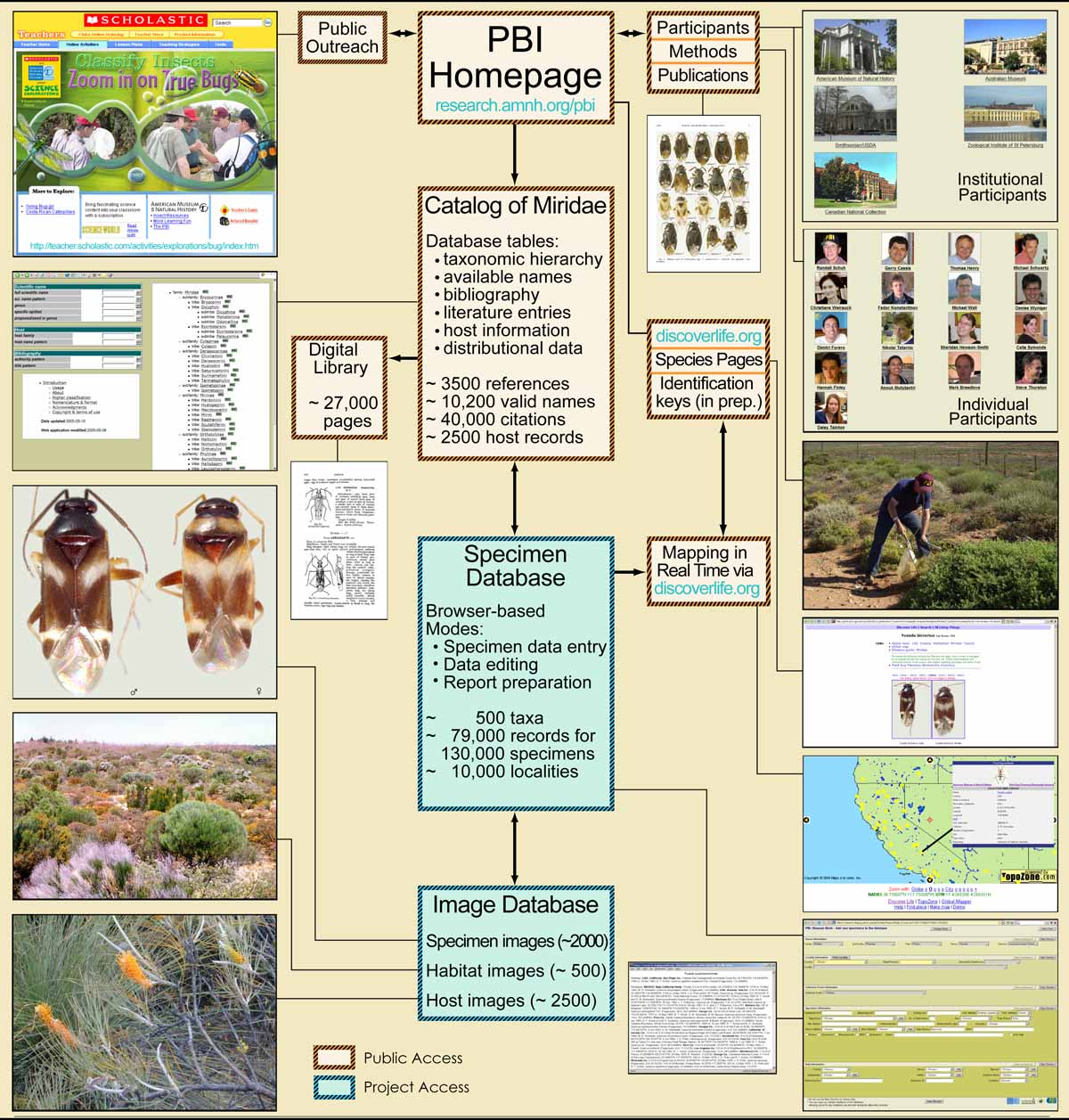 biodiversity poster ideas