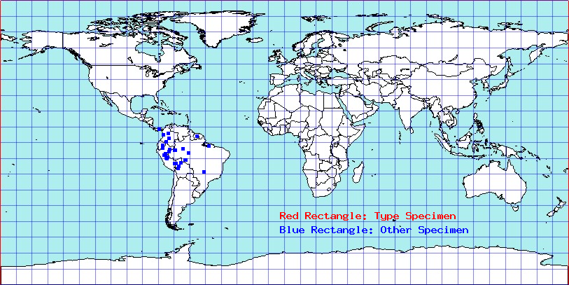 Acanthischium maculatum coordinates