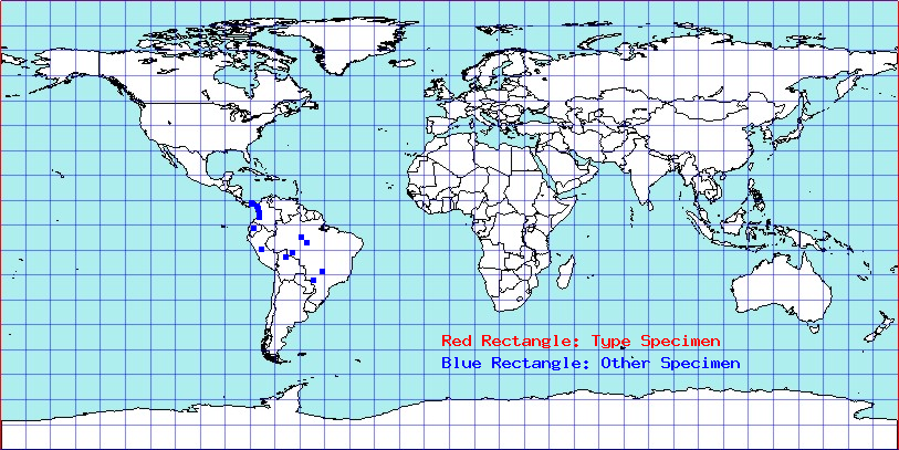 Acanthischium semiflavum coordinates