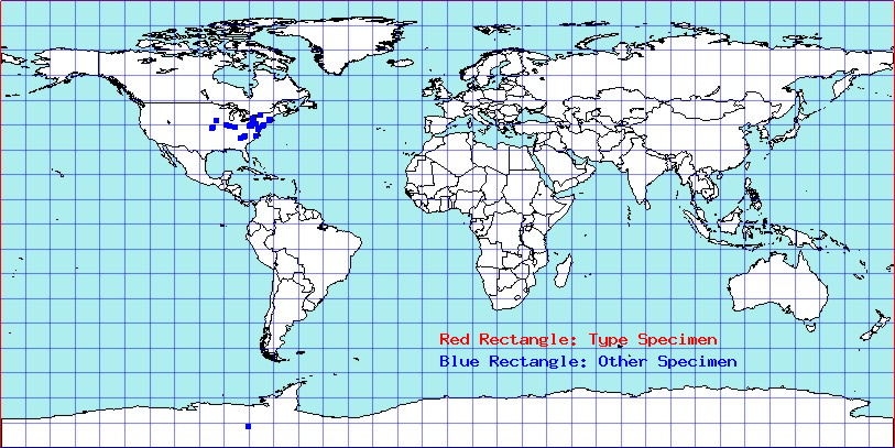 Acholla multispinosa coordinates