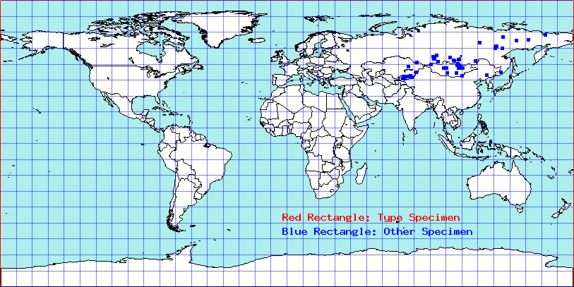 Acrotelus pilosicornis coordinates
