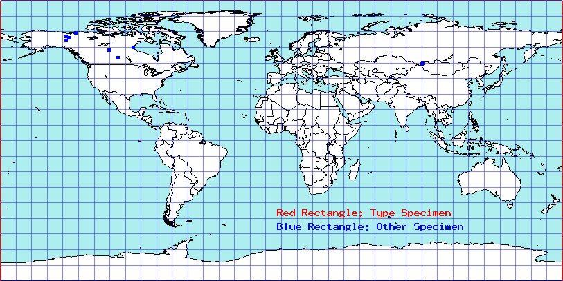 Actinocoris signatus coordinates