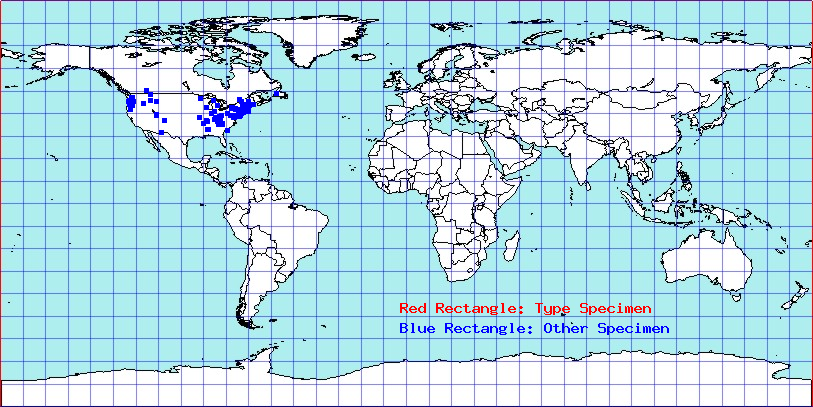 Agallia quadripunctata coordinates