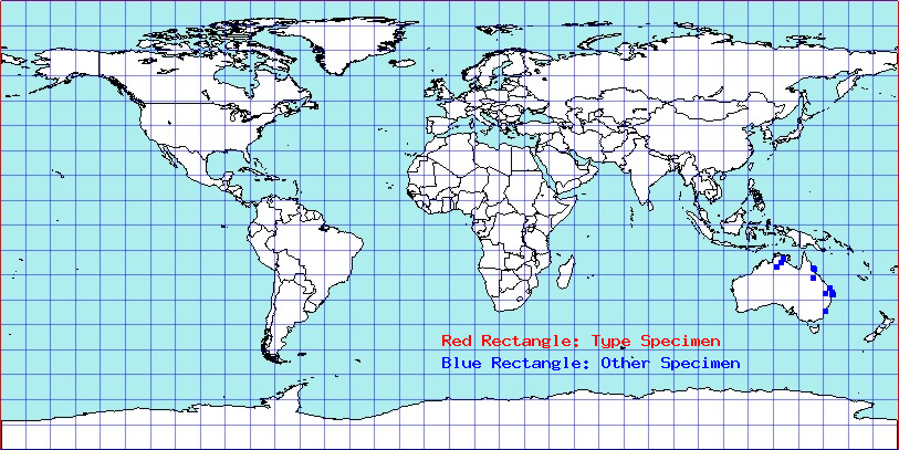 Agramma vulturnum coordinates