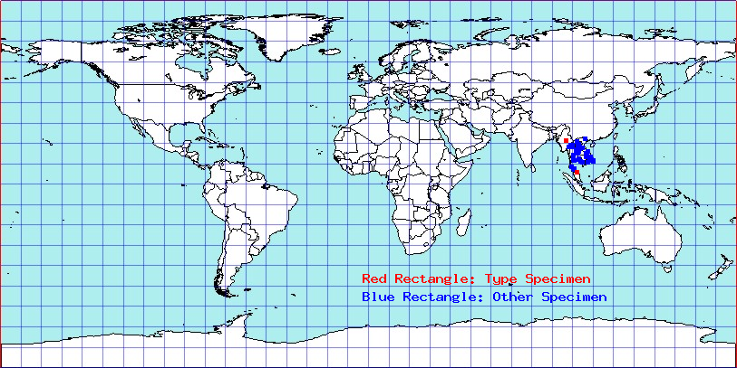 Alvilla singularis coordinates