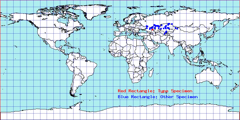 Anapus freyi coordinates