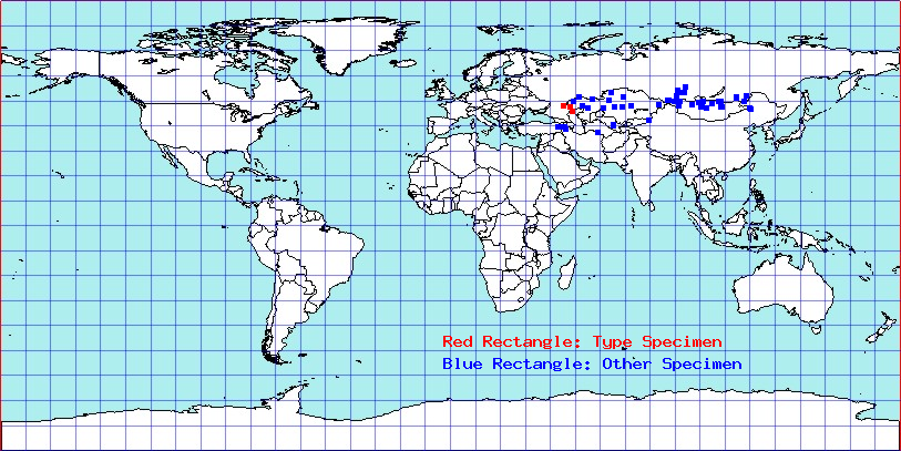 Anapus kirschbaumi coordinates