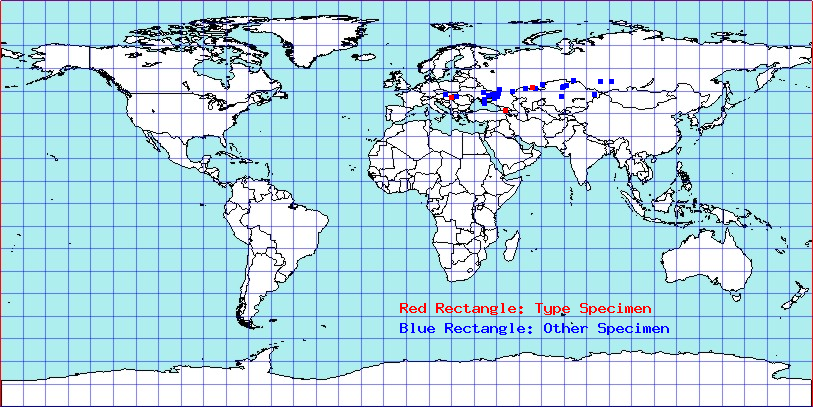Anapus longicornis coordinates