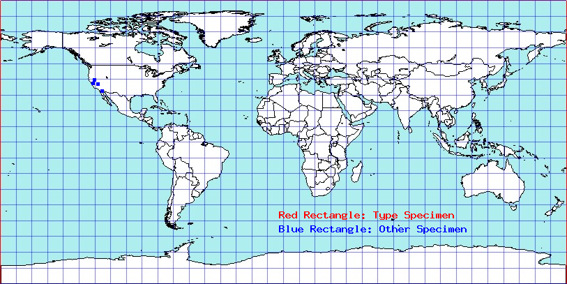 Anisococcus oregonensis coordinates