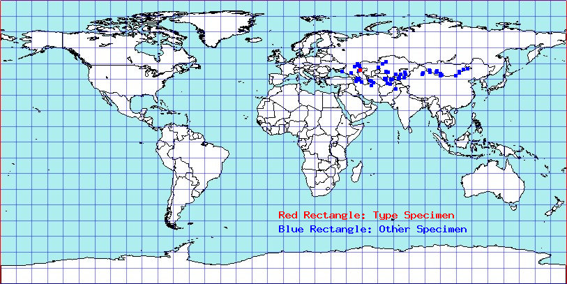 Anonychiella brevicornis coordinates