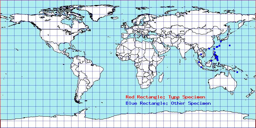 Anthophilolygus bakeri coordinates