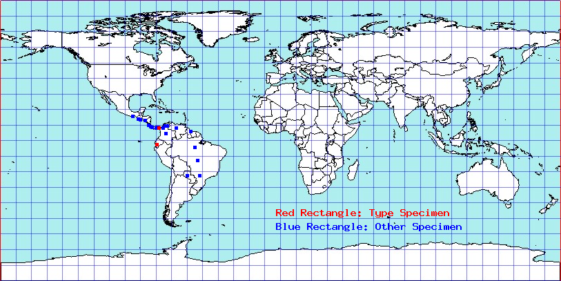 Aphelonotus fraterculus coordinates