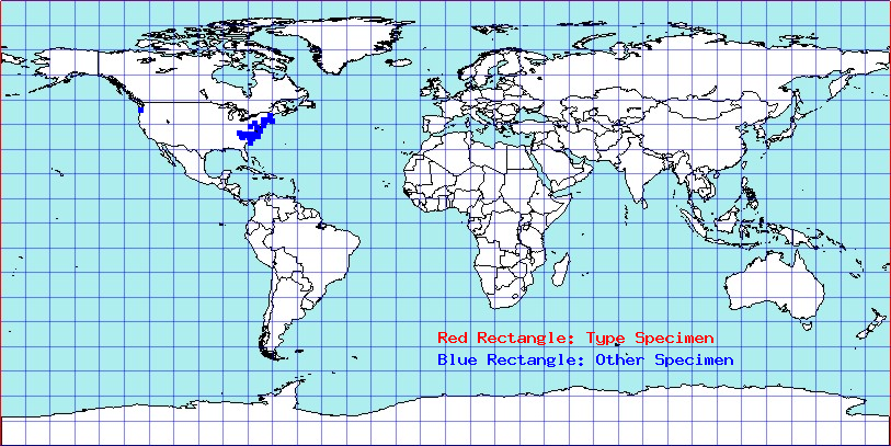 Aphrophora parallella coordinates
