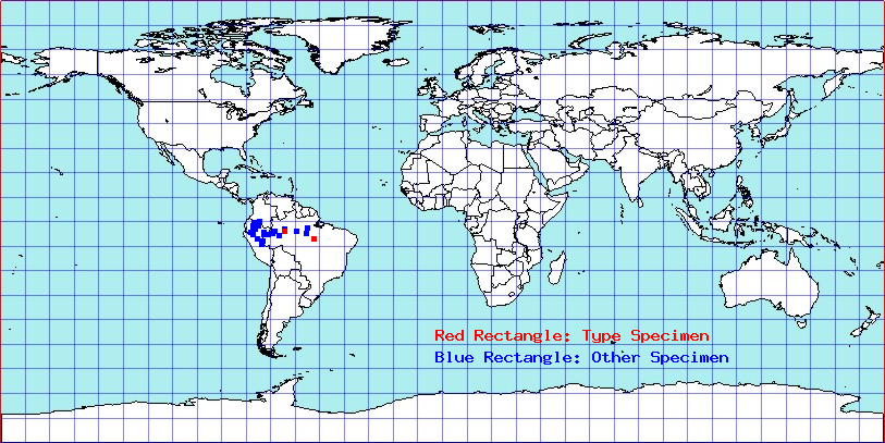 Apiomerus apicalis coordinates