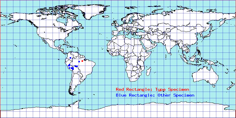 Apiomerus bolivari coordinates