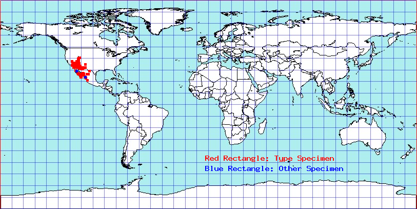 Apiomerus cazieri coordinates