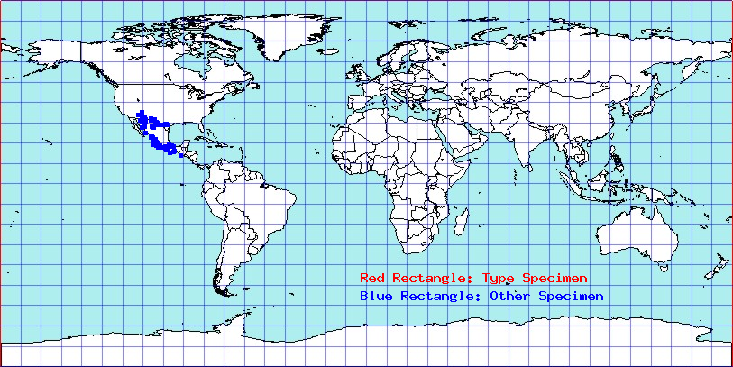 Apiomerus championi coordinates