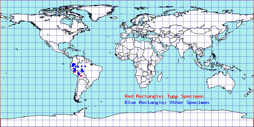 Apiomerus luteoventralis coordinates
