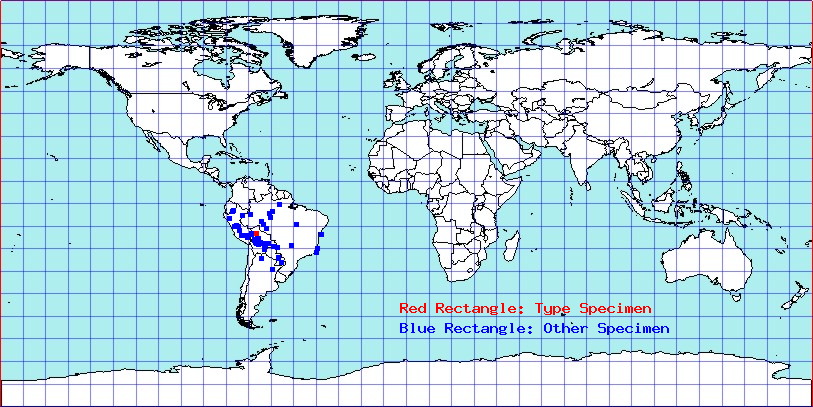 Apiomerus obesus coordinates