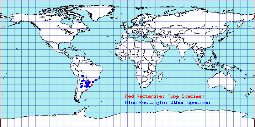 Apiomerus paraguayensis coordinates