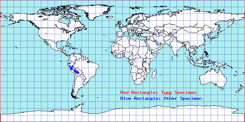 Apiomerus saileri coordinates