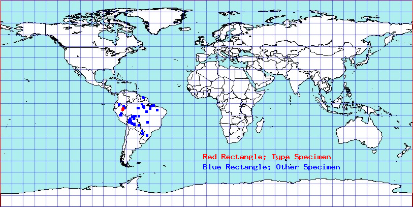 Apiomerus tarsalis coordinates