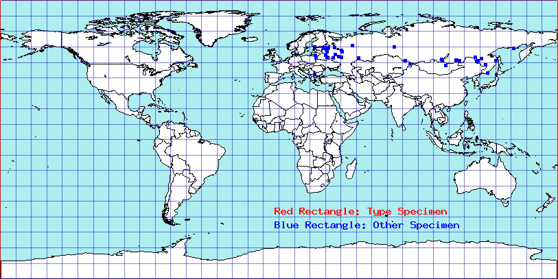 Apolygus limbatus coordinates